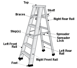 梯子组件